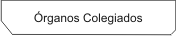 &ouml;rganos Colegiados